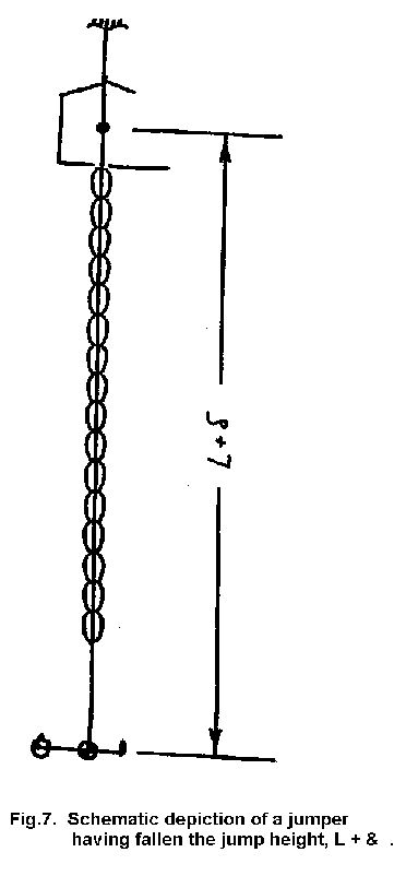 fig 7